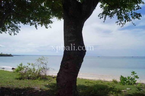39865m2 Land in Indonesia No. 7950 2