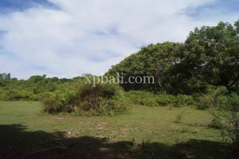 39865m2 Land in Indonesia No. 7950 4