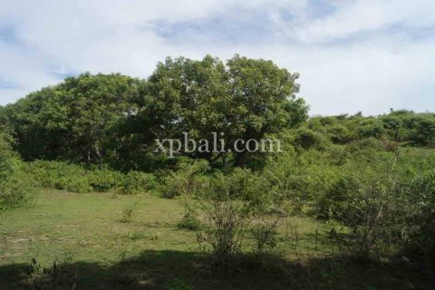 39865m2 Land in Indonesia No. 7950 3