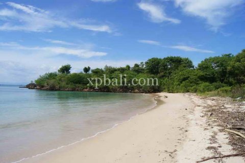 39865m2 Land in Indonesia No. 7950 11
