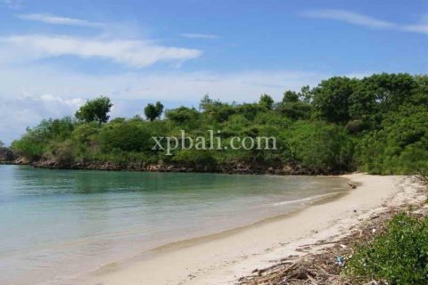 39865m2 Land in Indonesia No. 7950 13