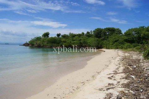 39865m2 Land in Indonesia No. 7950 7
