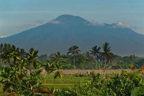Вилла с 4 спальнями в Canggu, Бадунг, Индонезия № 808 28