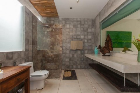 2 bedrooms Villa in Seminyak, Badung, Indonesia No. 1421 15