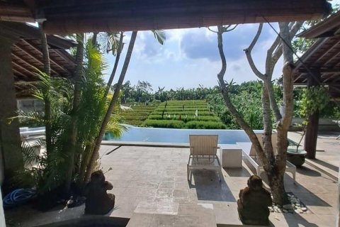 3 bedrooms Villa in Canggu, Badung, Indonesia No. 149 22
