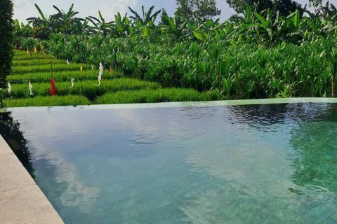 3 bedrooms Villa in Canggu, Badung, Indonesia No. 149 26