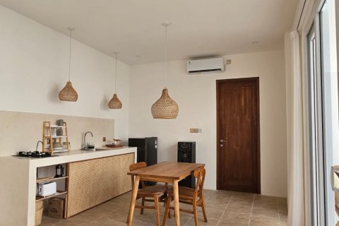 1 bedroom Villa in Badung, Indonesia No. 11084 4