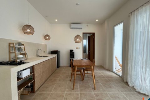 1 bedroom Villa in Badung, Indonesia No. 11084 6