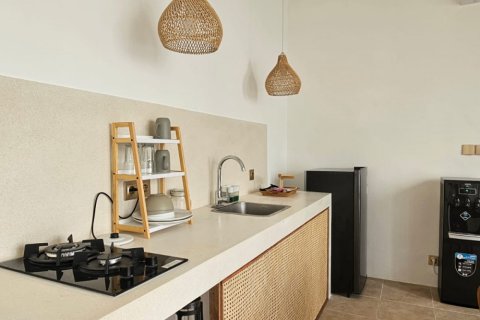 1 bedroom Villa in Badung, Indonesia No. 11084 5