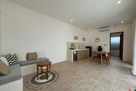 1 bedroom Villa in Badung, Indonesia No. 11084 7