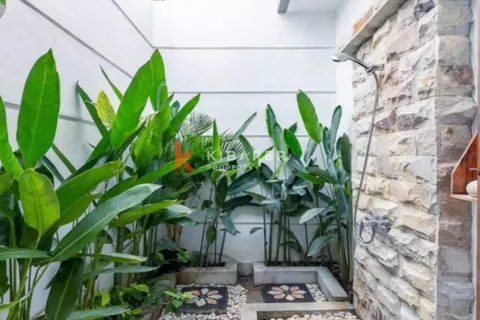 Вилла с 3 спальнями в Canggu, Бадунг, Индонезия № 12862 4