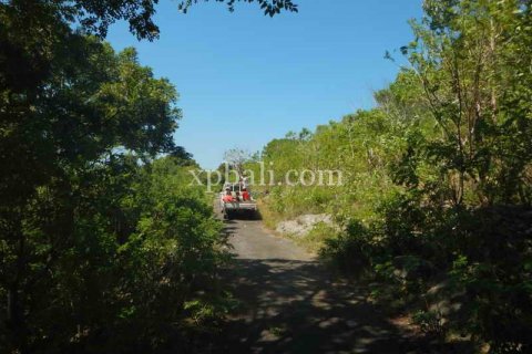 3850m2 Land in Nusa Penida, Klungkung, Indonesia No. 449