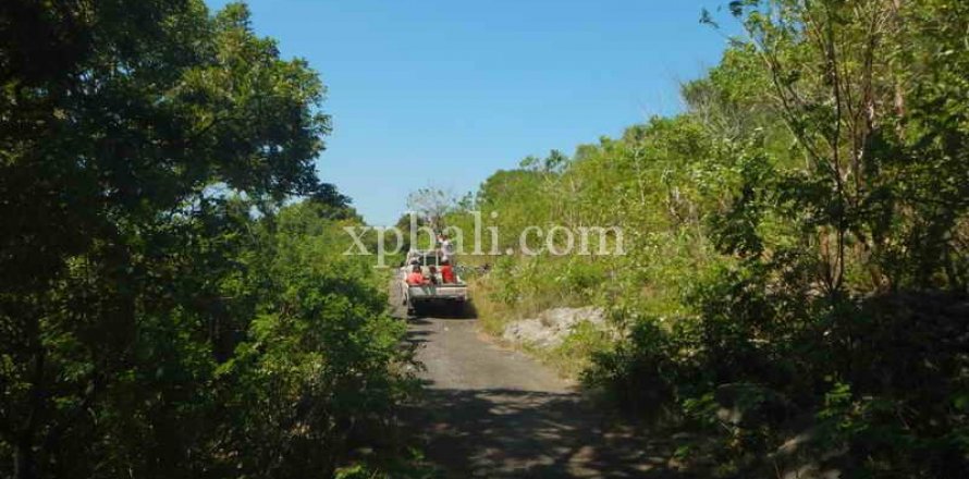3850m2 Land in Nusa Penida, Klungkung, Indonesia No. 449