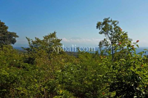 3850m2 Land in Nusa Penida, Klungkung, Indonesia No. 449 3