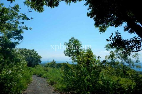 3850m2 Land in Nusa Penida, Klungkung, Indonesia No. 449 9