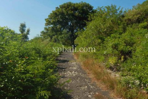 3850m2 Land in Nusa Penida, Klungkung, Indonesia No. 449 4