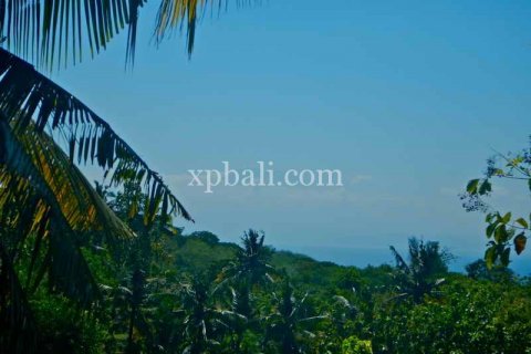 3850m2 Land in Nusa Penida, Klungkung, Indonesia No. 449 7