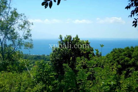 3850m2 Land in Nusa Penida, Klungkung, Indonesia No. 449 8