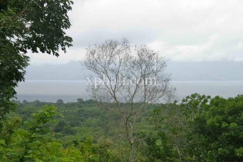 3850m2 Land in Nusa Penida, Klungkung, Indonesia No. 449 5