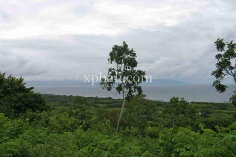 3850m2 Land in Nusa Penida, Klungkung, Indonesia No. 449 6