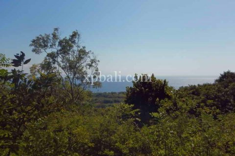 3850m2 Land in Nusa Penida, Klungkung, Indonesia No. 449 2