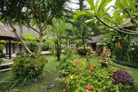 5 bedrooms Villa in Karangasem, Karang Asem, Indonesia No. 446