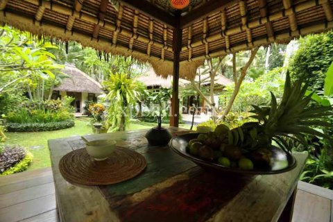 5 bedrooms Villa in Karangasem, Karang Asem, Indonesia No. 446 6