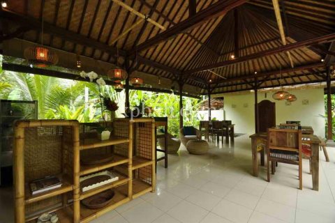 5 bedrooms Villa in Karangasem, Karang Asem, Indonesia No. 446 9