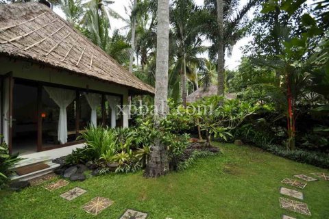 5 bedrooms Villa in Karangasem, Karang Asem, Indonesia No. 446 13