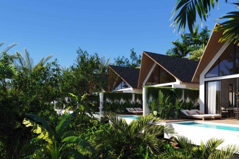 ЖК Serenity Village в Убуд, Гианьяр, Индонезия № 9852 12
