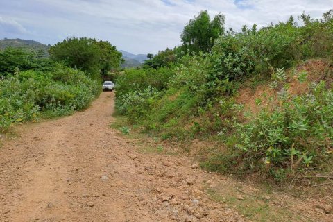Земельный участок 19300м2 в Индонезии № 7806 6