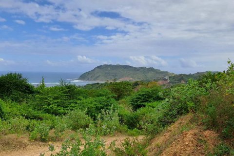 19300m2 Land in Indonesia No. 7806