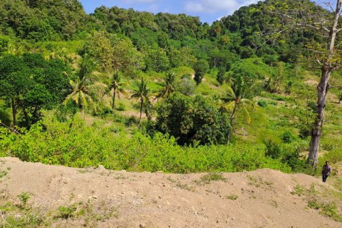 Земельный участок 4100м2 в Индонезии № 7803 24