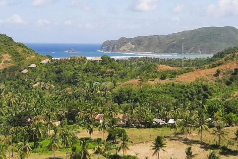 8200m2 Land in Indonesia No. 7805