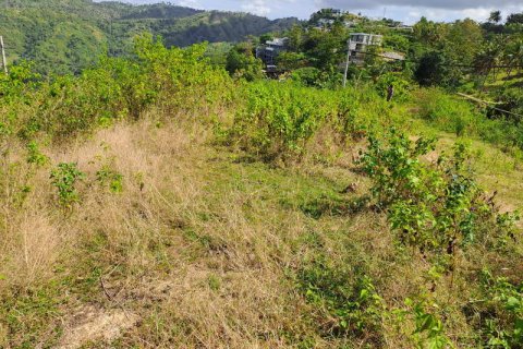 3000m2 Land in Indonesia No. 7804 10