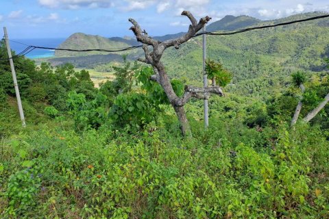3000m2 Land in Indonesia No. 7804