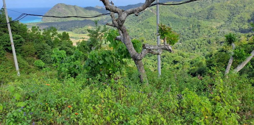 3000m2 Land in Indonesia No. 7804