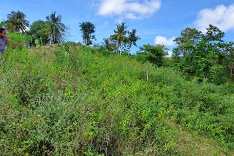 3000m2 Land in Indonesia No. 7804 18