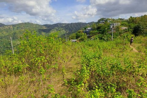 3000m2 Land in Indonesia No. 7804 5