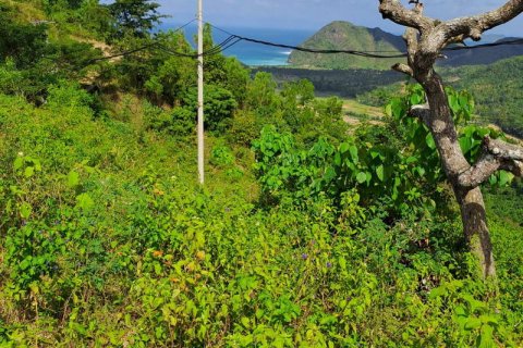 3000m2 Land in Indonesia No. 7804 11