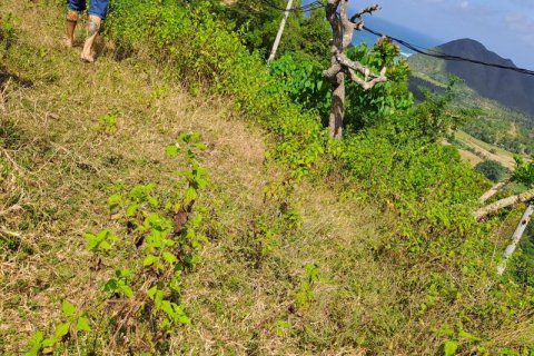 3000m2 Land in Indonesia No. 7804 16