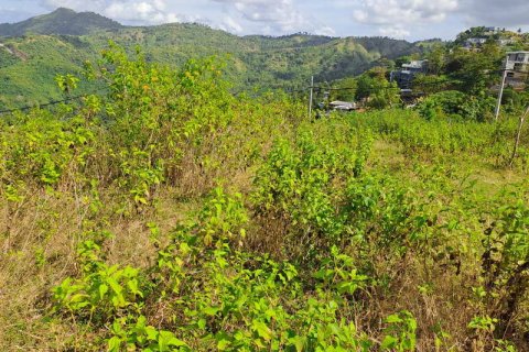 3000m2 Land in Indonesia No. 7804 12