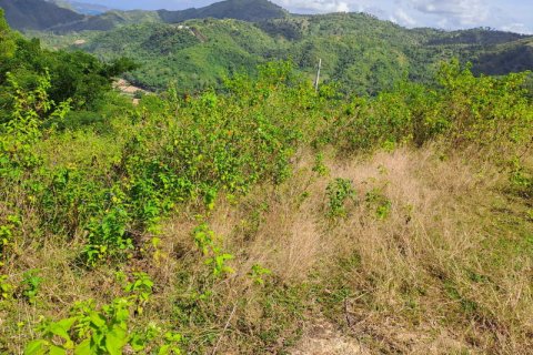 3000m2 Land in Indonesia No. 7804 13