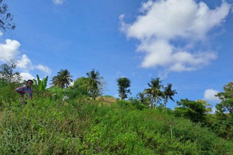 3000m2 Land in Indonesia No. 7804 8