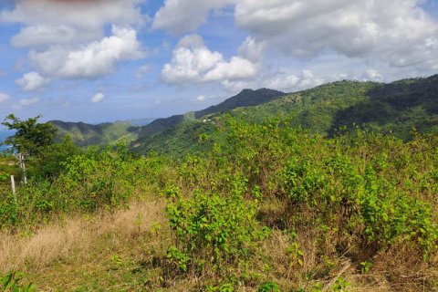 3000m2 Land in Indonesia No. 7804 9