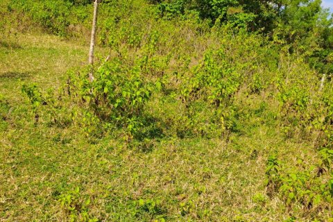 3000m2 Land in Indonesia No. 7804 20