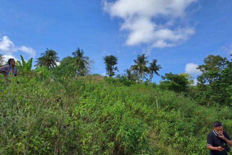 3000m2 Land in Indonesia No. 7804 15