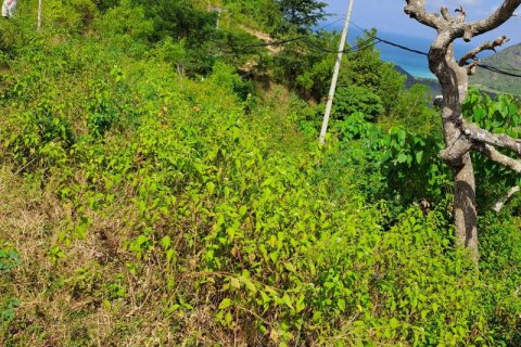 3000m2 Land in Indonesia No. 7804 4