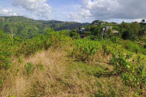 3000m2 Land in Indonesia No. 7804 2