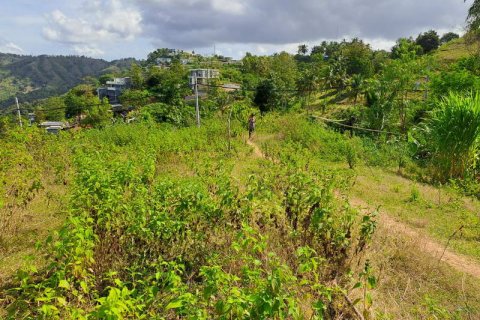 3000m2 Land in Indonesia No. 7804 7